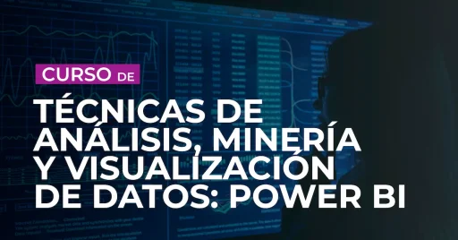 Data Analysis, Mining and Visualisation Techniques Course: Power BI